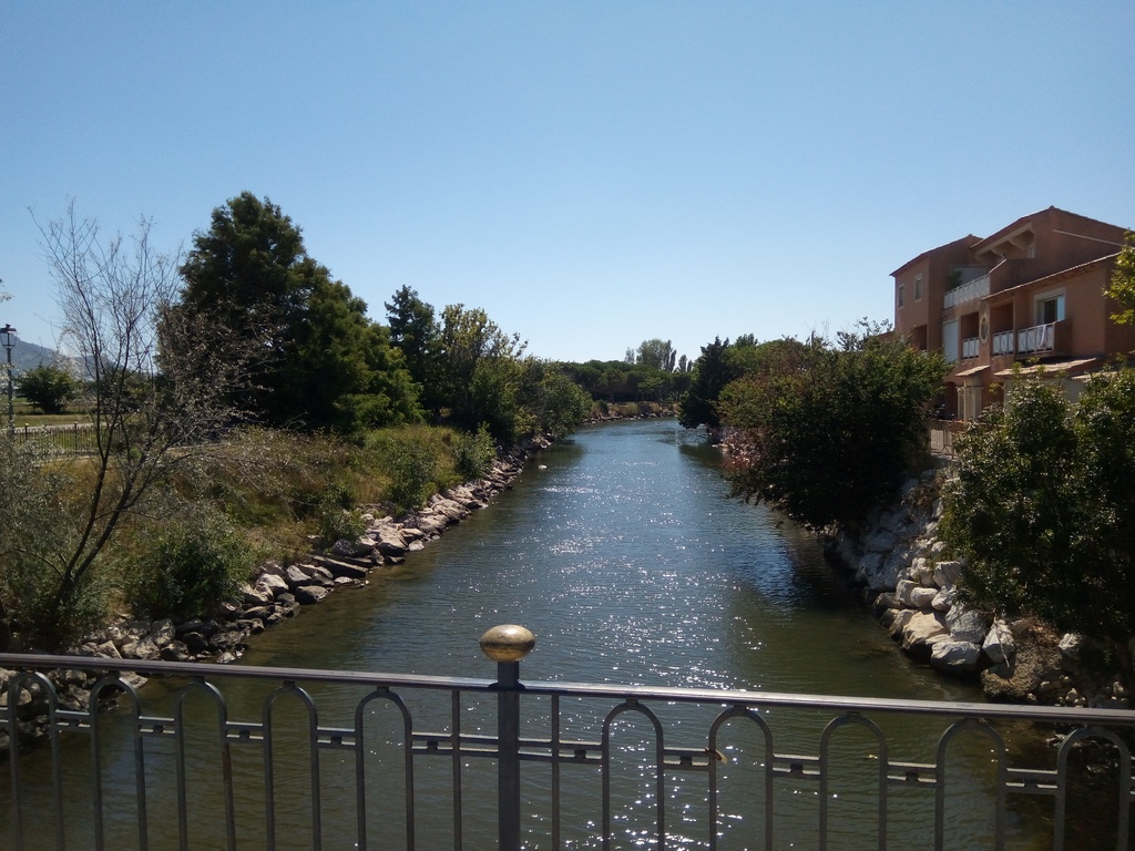 Une rivière bordée d'une luxuriante végétation resplendissante sous le soleil.