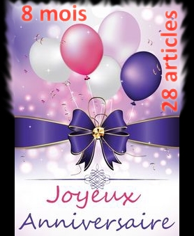 Joyeux Anniversaire (8 mois et 28 articles)